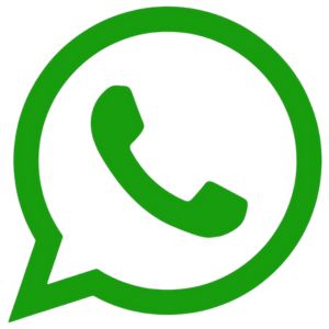 whatsapp dinkes Kabupaten Flores Timur